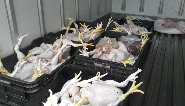 20294238_1359325427522010_3917035509146589219_n