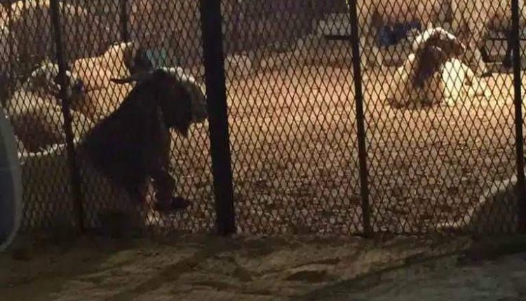 FB_IMG_1503871540917