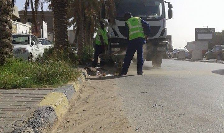 21558538_1390012657763694_578641145526751332_n