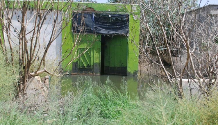 21687032_284497332048908_2817067154554085475_o