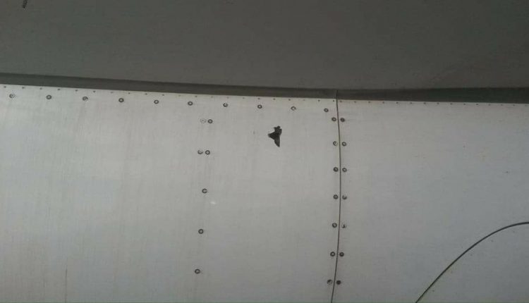 22528483_1483660618347612_458366925750367210_n