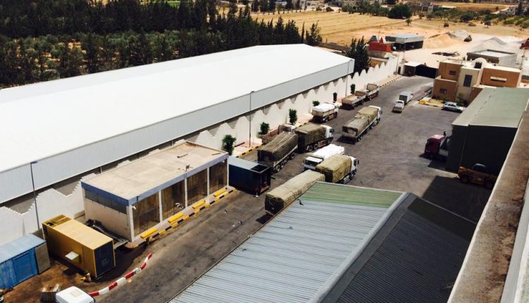 13626465_1020854194636637_2782294543645750186_n